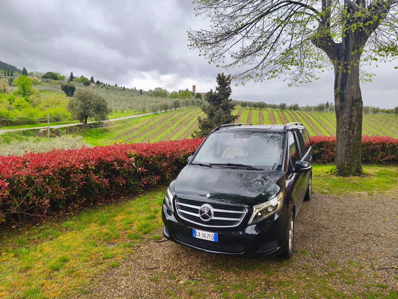 5e719561-48c2-4c03-a247-5b16f3d93790